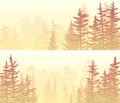 Set of banners with foggy coniferous forest at sunset or sunrise Royalty Free Stock Photo