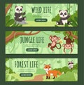 Set of banners for jungle life vector