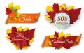 Set of banners with leaves and scroll paper ribbons. Autumn sale collection Royalty Free Stock Photo