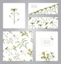 Set of banners, pattern, blank, and illustrations with flowers Royalty Free Stock Photo