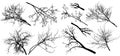 Set of bare branches trees. Silhouettes of autumn different branches trees. Vector illustration