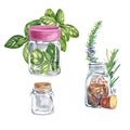 Set Basil green in a jar on a white background. Dried basil , seasoning for dishes. Watercolor illustration of Provencal herbs of