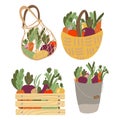 Set of basket, shopping bag, box with vegetables. Mesh eco bag full of vegetables isolated on white background Royalty Free Stock Photo