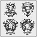 Set of basketball emblems, badges, logos and labels with bison, bull and ram.