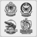 Set of basketball emblems, badges, logos and labels with cobra, crocodile and dragon. Royalty Free Stock Photo