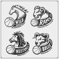 Set of basketball emblems, badges, logos and labels with horse, bull and ram. Print design for t-shirts.