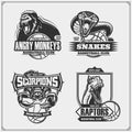 Set of basketball emblems, badges, logos and labels with lion, cobra, raptor dinosaur and scorpion. Print design for t-shirt.