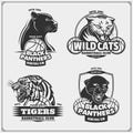 Set of basketball emblems, badges, logos and labels with tiger, panther and wildcat. Royalty Free Stock Photo