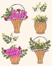 Set of baskets of flowers