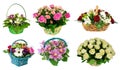 Set of baskets of fresh flowers, gift, isolated on white backgro