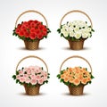 Set Baskets of Roses Isolated Royalty Free Stock Photo