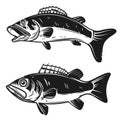 Set of bass fish illustrations isolated on white background. Design elements for logo, label, emblem, sign. Royalty Free Stock Photo