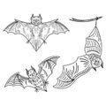 Set of bats.