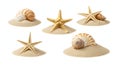 Set of beach sand and sea shells on white background 03 Royalty Free Stock Photo