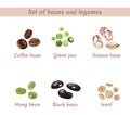 Set of beans and legumes. Roman, black, mung and coffee beans. Lentil, green peas isolated on white
