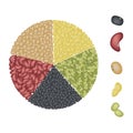 Set of Beans in Pie Chart Concept