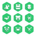 Set Bear head, Crab, Rabbit, Deer with antlers, Cute panda face, Whale, Dog and Macaw parrot icon. Vector