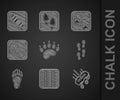 Set Bear paw footprint, Tire track, Mop, Human footprints shoes, Fox and icon. Vector Royalty Free Stock Photo