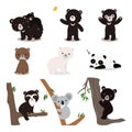 set of bears in different poses colored flat vector illustration isolated. sloth bear and cub, asiatic black bear, malayan sun Royalty Free Stock Photo