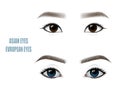 Set of Beautiful Asian and European Woman Eyes and Brows. Vector illustration Royalty Free Stock Photo