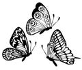Set of black and white butterfly