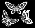 Set of beautiful black and white guipure lace butterflies . Royalty Free Stock Photo
