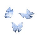 a set of beautiful blue butterflies isolated on a white background. tropical moths. flying insects for design Royalty Free Stock Photo