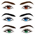 Set of beautiful brown, blue and green female eyes with thick black eyelashes.