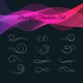 Set of Beautiful Calligraphic Flourishes