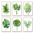 Set of beautiful canvases adorned with colored pastel leaves in elegant frames