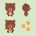 Set of beautiful character bears on green background. Vector illustration charming animals in different poses front and side view