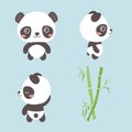 Set of beautiful character pandas on blue background. Vector illustration charming animals in different poses front and side view