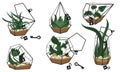 Set of beautiful closed and open florariums with keys on a white background. Vector illustration of a glass florarium of