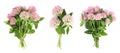 Set with beautiful clover flowers on white background, top view. Banner design Royalty Free Stock Photo