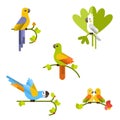 Set of beautiful colorful parrots.