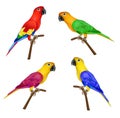 Set of beautiful colorful parrots on white background-