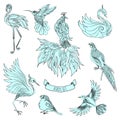 Set of beautiful decorative hand drawn birds, vector illustration Royalty Free Stock Photo