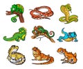 Set with beautiful different cartoon reptiles,snakesand lizards. Collection with reptiles,snakes hand drawn illustration