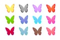 A set of beautiful 12 different colors winged butterflies. Royalty Free Stock Photo