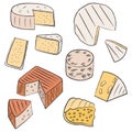 A set of beautiful exquisite soft and hard cheese delicacies. Round dairy products in the form of a cake are cut into triangular