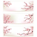 Set of Beautiful Floral Banners. EPS 10 Royalty Free Stock Photo