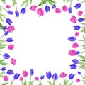 Set of beautiful floral colorful tulips flower frame border template, spring bouquet frame background
