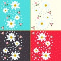 Set of beautiful floral patterns with daisies, roses and forget me not flowers. Royalty Free Stock Photo