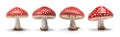 Set of beautiful fly agarics isolated on white background. Amanita muscaria