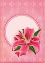 Set of beautiful gift cards with pink lily