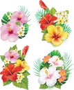 Set of Beautiful hibiscus flowers, blooming tropical floral elements Vector illustration on white background. Royalty Free Stock Photo