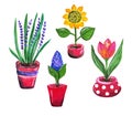 Set of beautiful red flower pots with flowers.