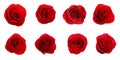 Set of beautiful red roses on white background. Banner design Royalty Free Stock Photo