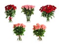 Set with beautiful rose flowers on background Royalty Free Stock Photo