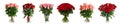 Set with beautiful rose flowers on background. Banner design Royalty Free Stock Photo